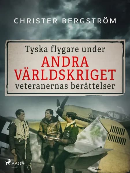 Tyska flygare under andra världskriget : veteranernas berättelser. Del 1 af Christer Bergström