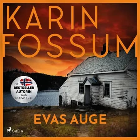 Evas Auge af Karin Fossum