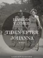 Tiden efter Johanna af Hjørdis Varmer