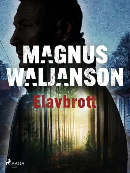 Elavbrott af Magnus Waljanson