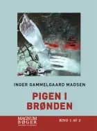 Pigen i brønden af Inger Gammelgaard Madsen