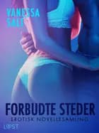 Forbudte steder - erotisk novellesamling af Vanessa Salt
