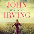 Enke i et år af John Irving