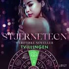 Stjernetegn - 8 erotiske noveller til Tvillingen af Alexandra Södergran, Olrik og Vanessa Salt
