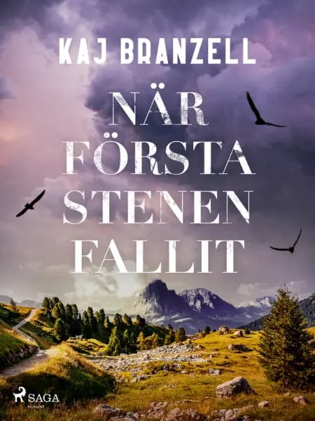 När första stenen fallit af Kaj Branzell