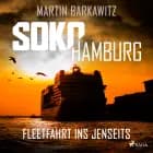SoKo Hamburg: Fleetfahrt ins Jenseits (Ein Fall für Heike Stein, Band 3) af Martin Barkawitz