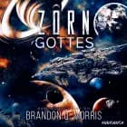 Der Zorn Gottes af Brandon Q. Morris