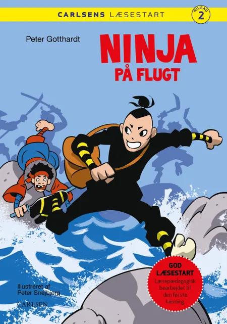 Ninja på flugt af Peter Gotthardt
