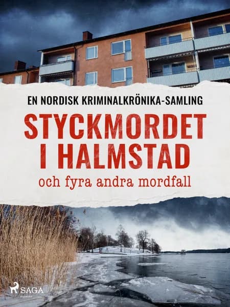 Styckmordet i Halmstad och fyra andra mordfall af Diverse
