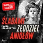 Śladami złodziei aniołów af Paweł Szlachetko
