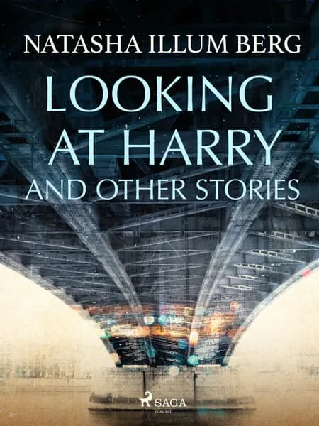 Looking at Harry and Other Stories af Natasha Illum Berg