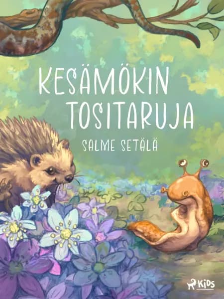 Kesämökin tositaruja af Salme Setälä
