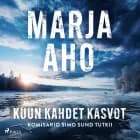 Kuun kahdet kasvot af Marja Aho