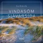 Slökun - Vindasöm sjávarsíða af Rasmus Broe