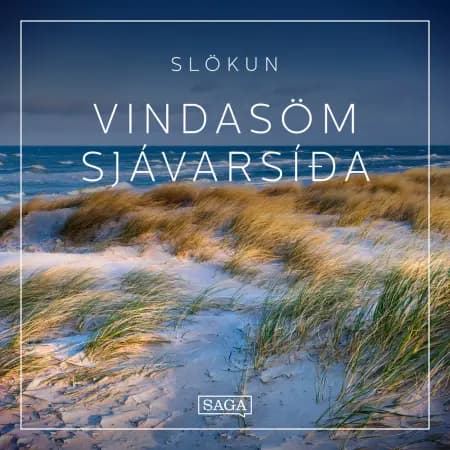 Slökun - Vindasöm sjávarsíða af Rasmus Broe