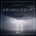 Slökun - Þrumuveður af Rasmus Broe