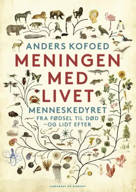 Meningen med livet af Anders Kofoed