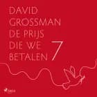 Schrijver in bezettend gebied af David Grossman