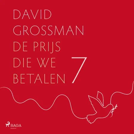 Schrijver in bezettend gebied af David Grossman