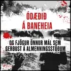 Ódæðið á Baneheia og fjögur önnur mál sem gerðust á almenningsstöðum af Ýmsir