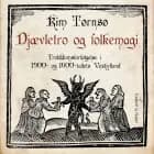 Djævletro og folkemagi. Trolddomsforfølgelse i 1500- og 1600-tallets Vestjylland af Kim Tørnsø
