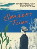 Søkadet Flink af Cai Schaffalitzky de Muckadell