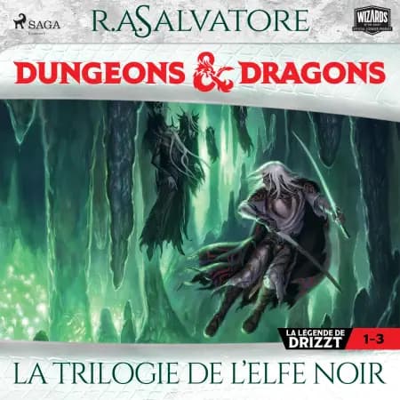 Compilation Dungeons & Dragons 1-3 : La Trilogie de l’Elfe Noir af R.A. Salvatore