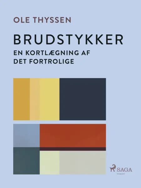 Brudstykker. En kortlægning af det fortrolige af Ole Thyssen