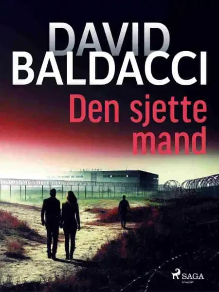 Den sjette mand af David Baldacci