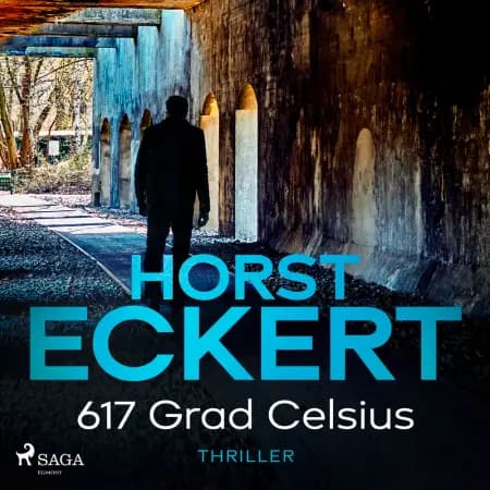 617 Grad Celsius af Horst Eckert