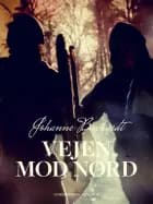 Vejen mod Nord af Johanne Buchardt