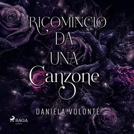 Ricomincio da una canzone af Daniela Volonté