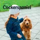 Cockerspaniel, Grøn Fagklub af Hanne Korvig
