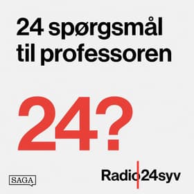 Kunstig intelligens - farlig eller dum? af Lone Frank