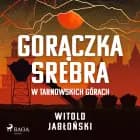Gorączka srebra w Tarnowskich Górach af Witold Jabłoński