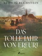 Das tolle Jahr von Erfurt af Ludwig Bechstein