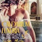 Caldarium Luxuria - w erotycznej służbie przełożonej af Black Chanterelle