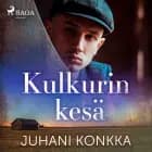 Kulkurin kesä af Juhani Konkka