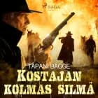 Kostajan kolmas silmä af Tapani Bagge
