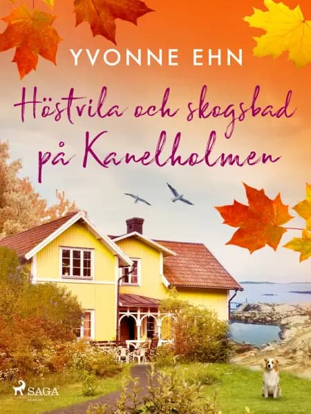 Höstvila och skogsbad på Kanelholmen af Yvonne Ehn