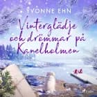 Vinterglädje och drömmar på Kanelholmen af Yvonne Ehn