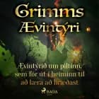 Ævintýrið um piltinn, sem fór út í heiminn til að læra að hræðast af Grimmsbræður