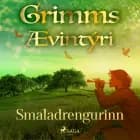 Smaladrengurinn af Grimmsbræður