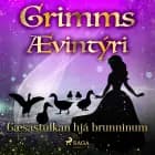 Gæsastúlkan hjá brunninum af Grimmsbræður