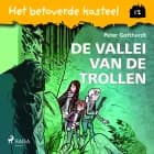 Het betoverde kasteel 12 - De vallei van de trollen af Peter Gotthardt