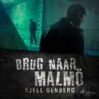 Brug naar Malmö af Kjell E. Genberg