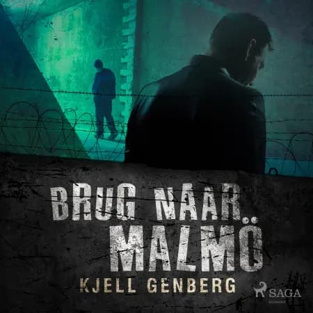 Brug naar Malmö af Kjell E. Genberg