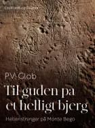 Til guden på et helligt bjerg. Helleristninger på Monte Bego af P.V. Glob