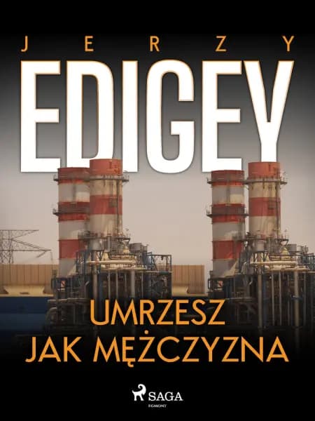 Umrzesz jak mężczyzna af Jerzy Edigey
