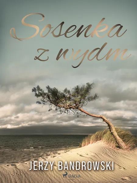 Sosenka z wydm af Jerzy Bandrowski